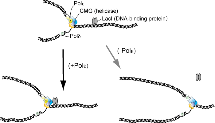 Figure1