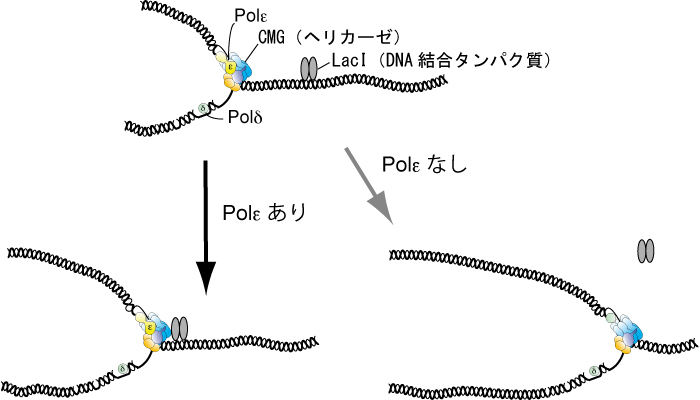 Figure1