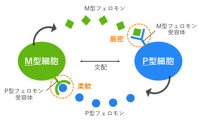 Figure1