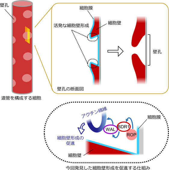 Figure1