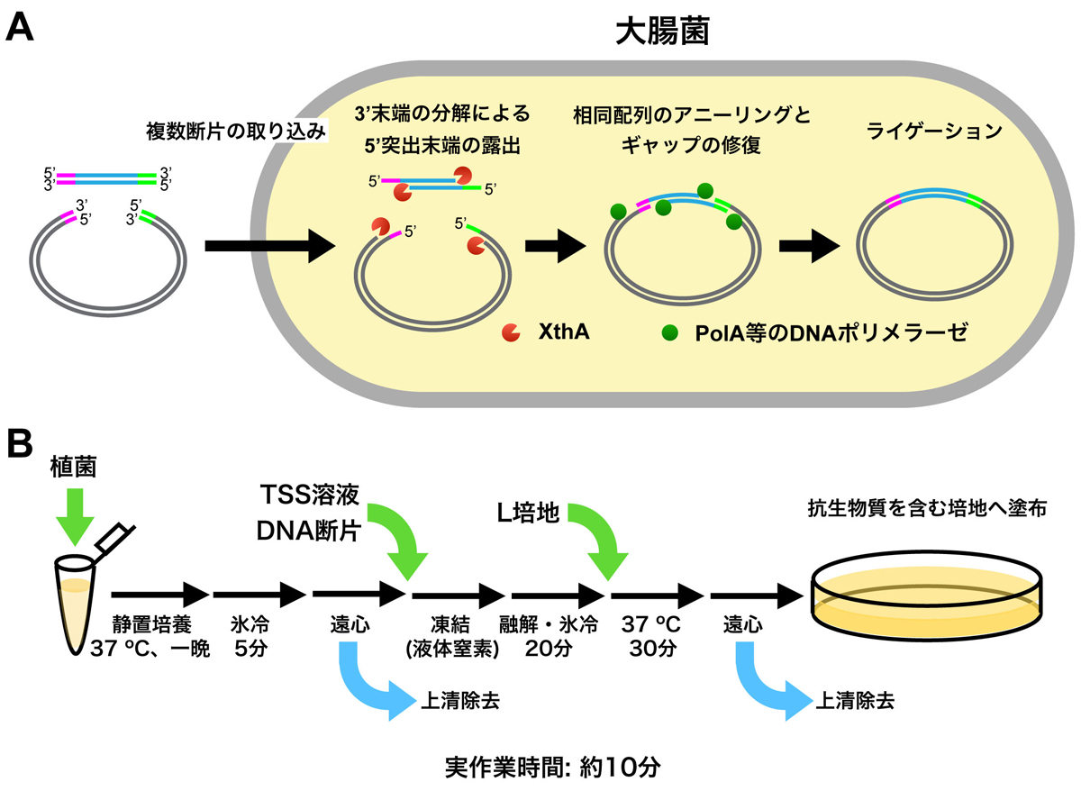 Figure1