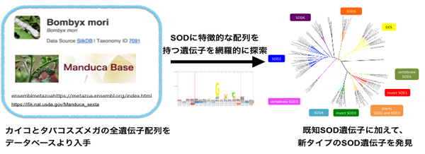 Figure1