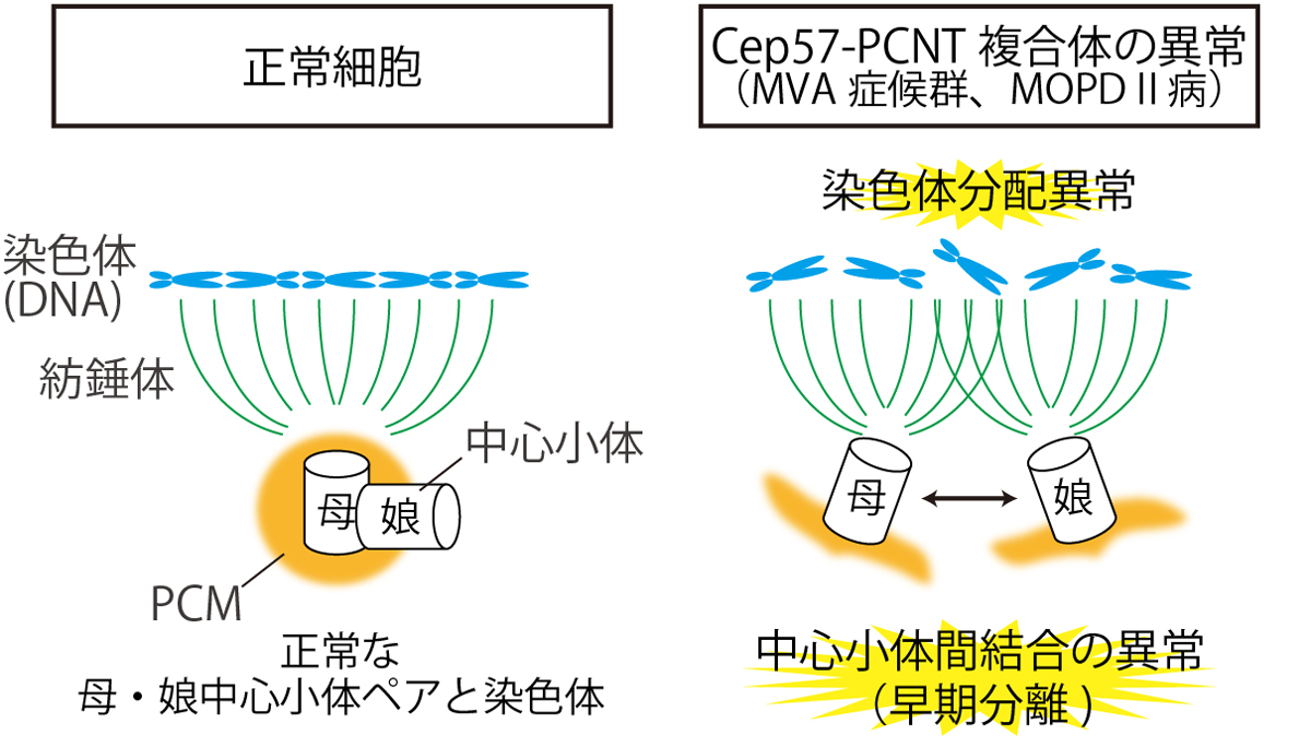 Figure1