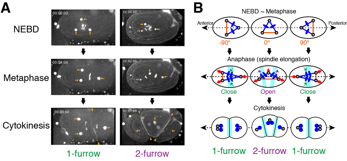 Figure1