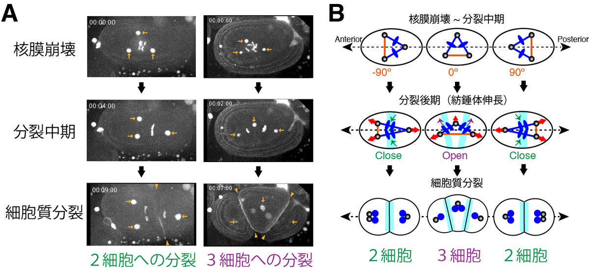 Figure1