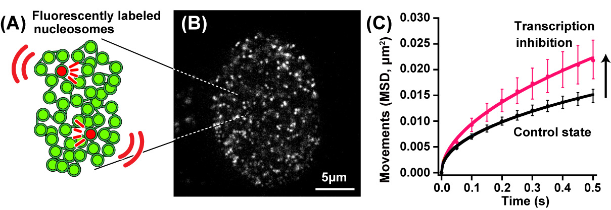 Figure1