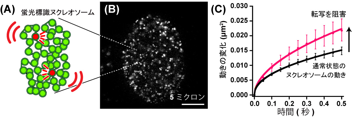 Figure1