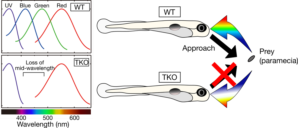 Figure1