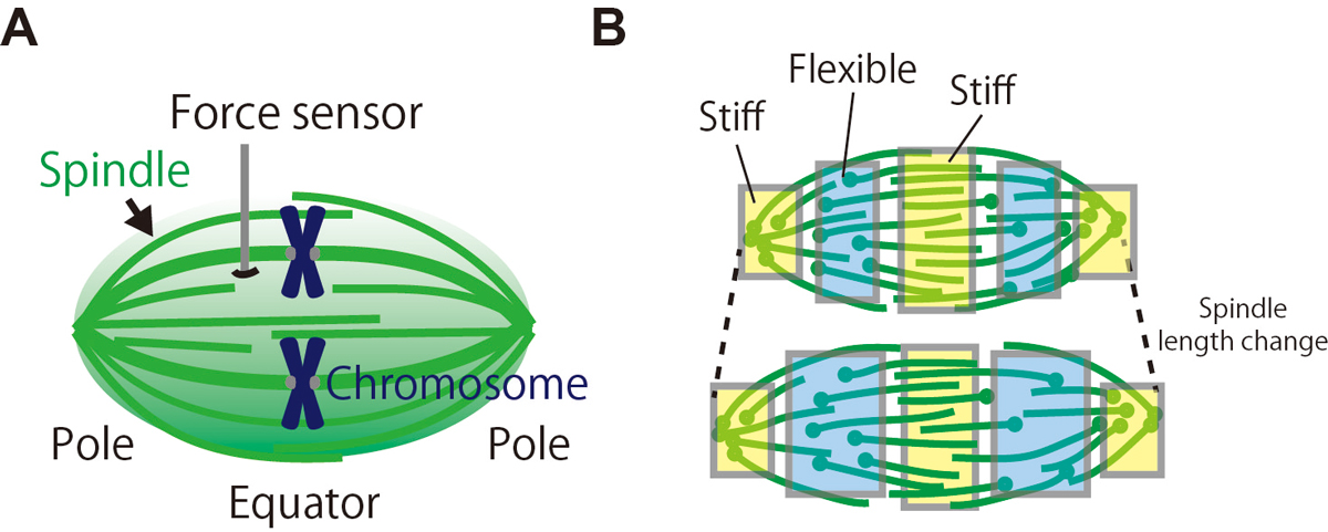 Figure1