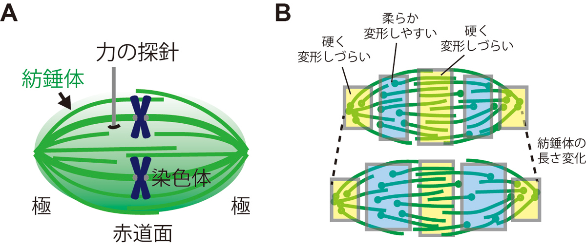 Figure1