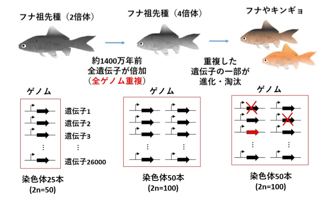 Figure1