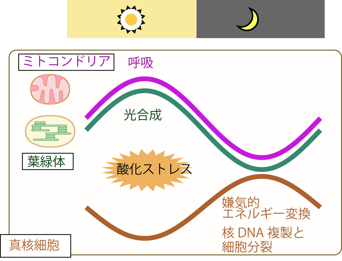 Figure1