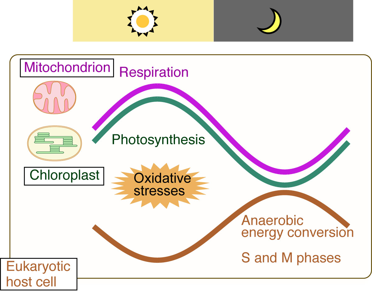 Figure1