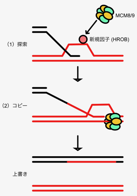 Figure1