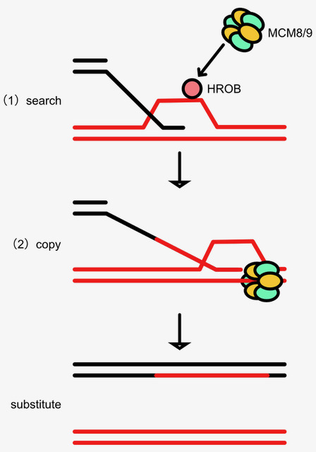 Figure1