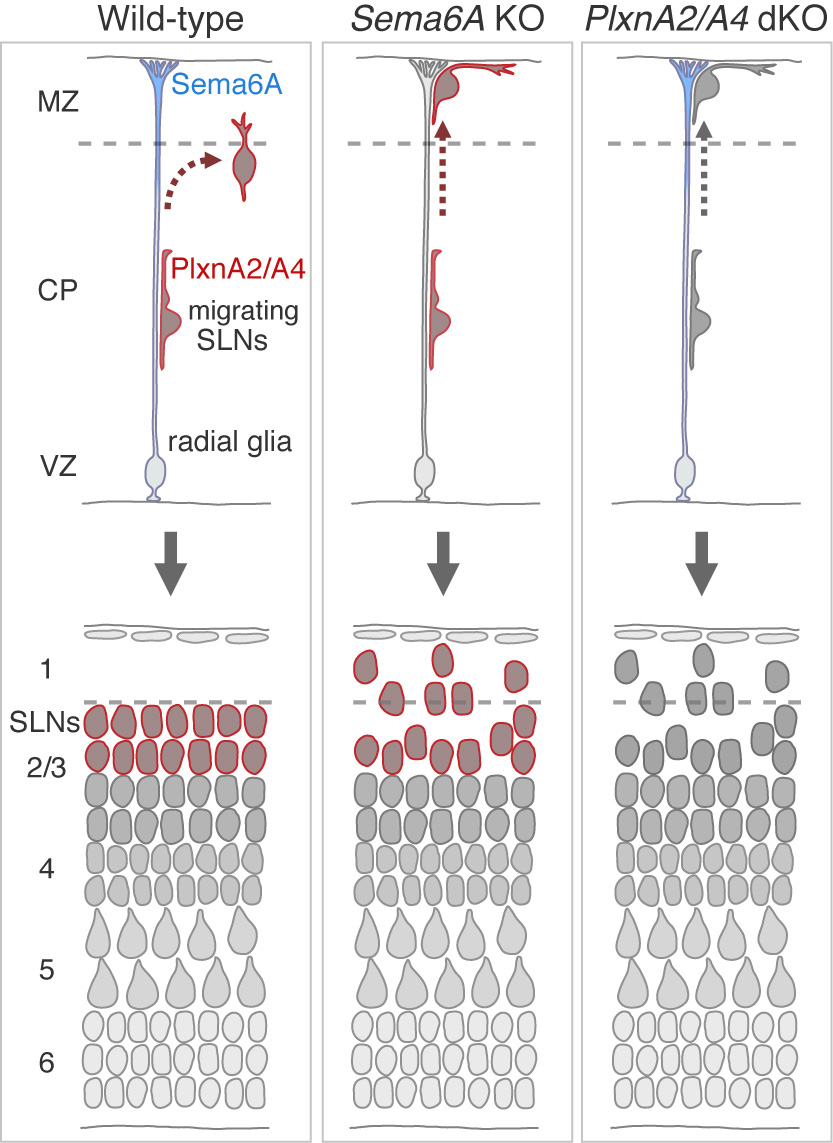 Figure1