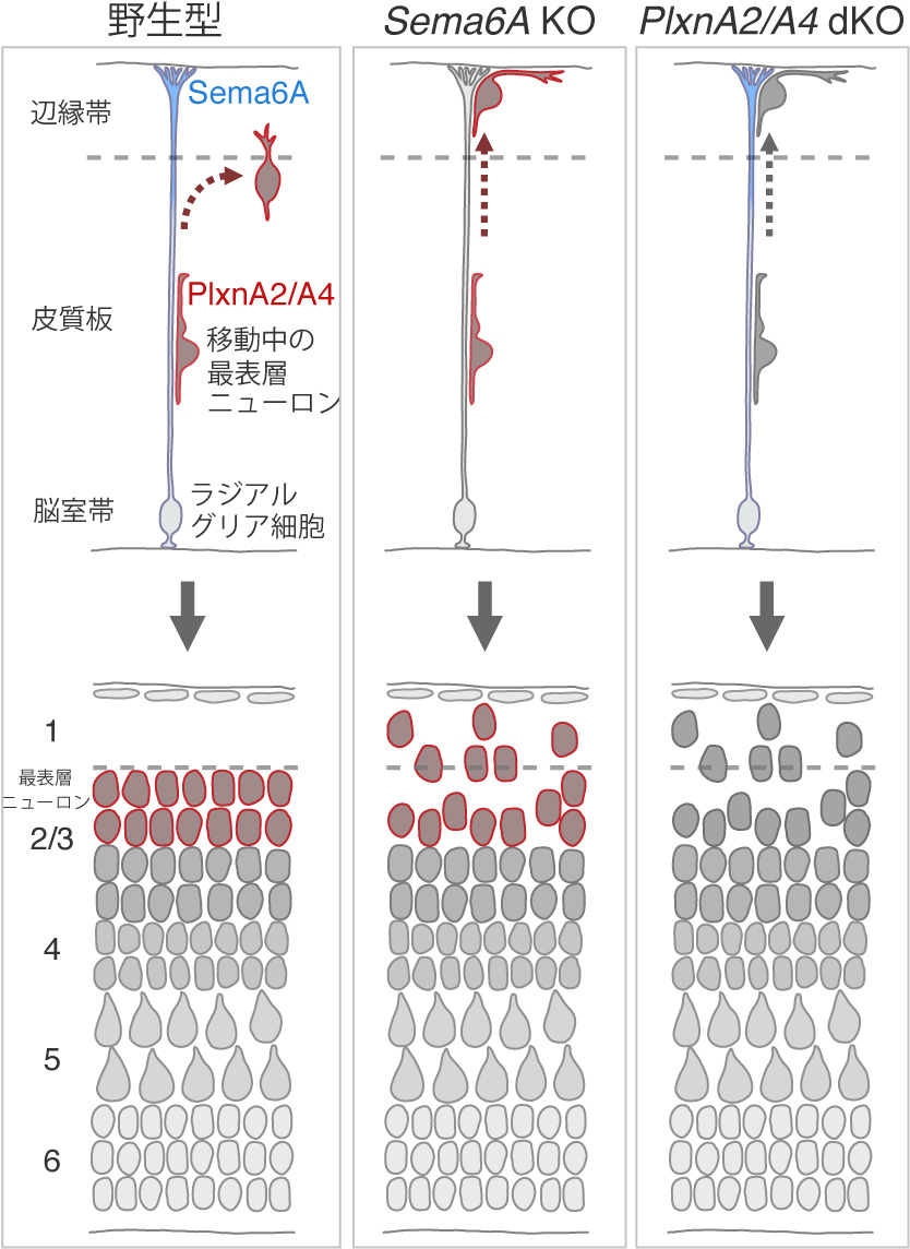 Figure1