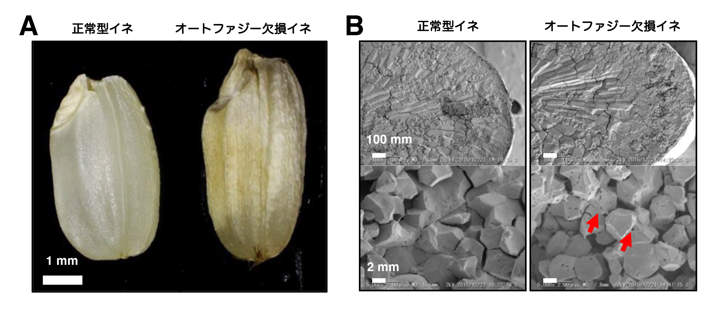 Figure1