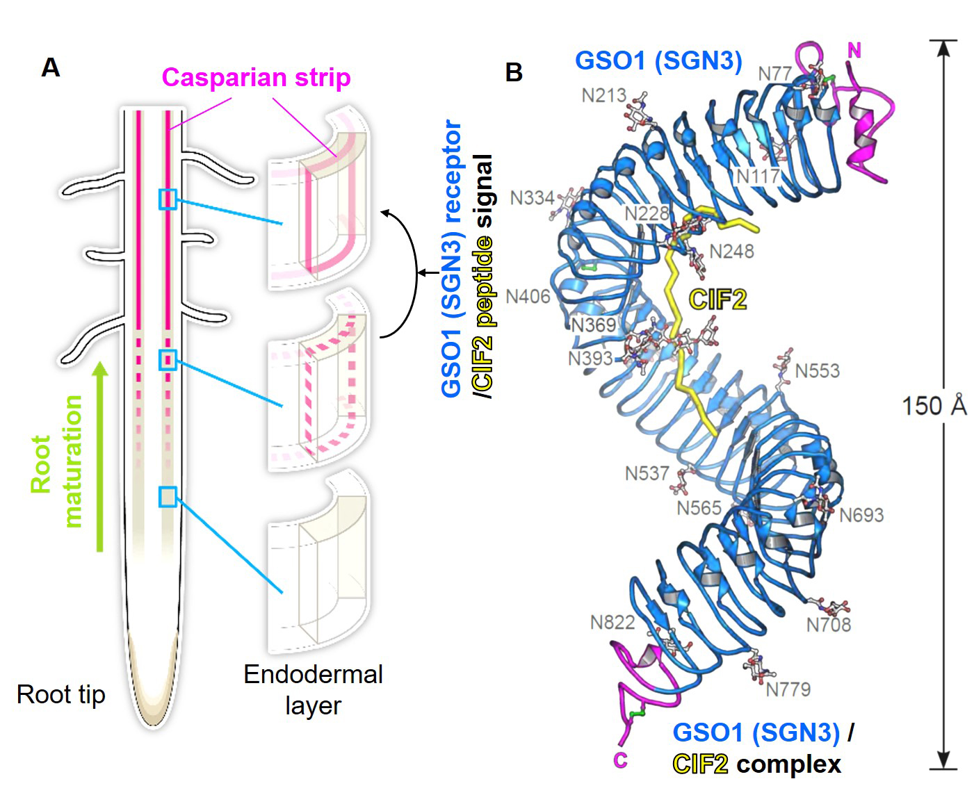 Figure1