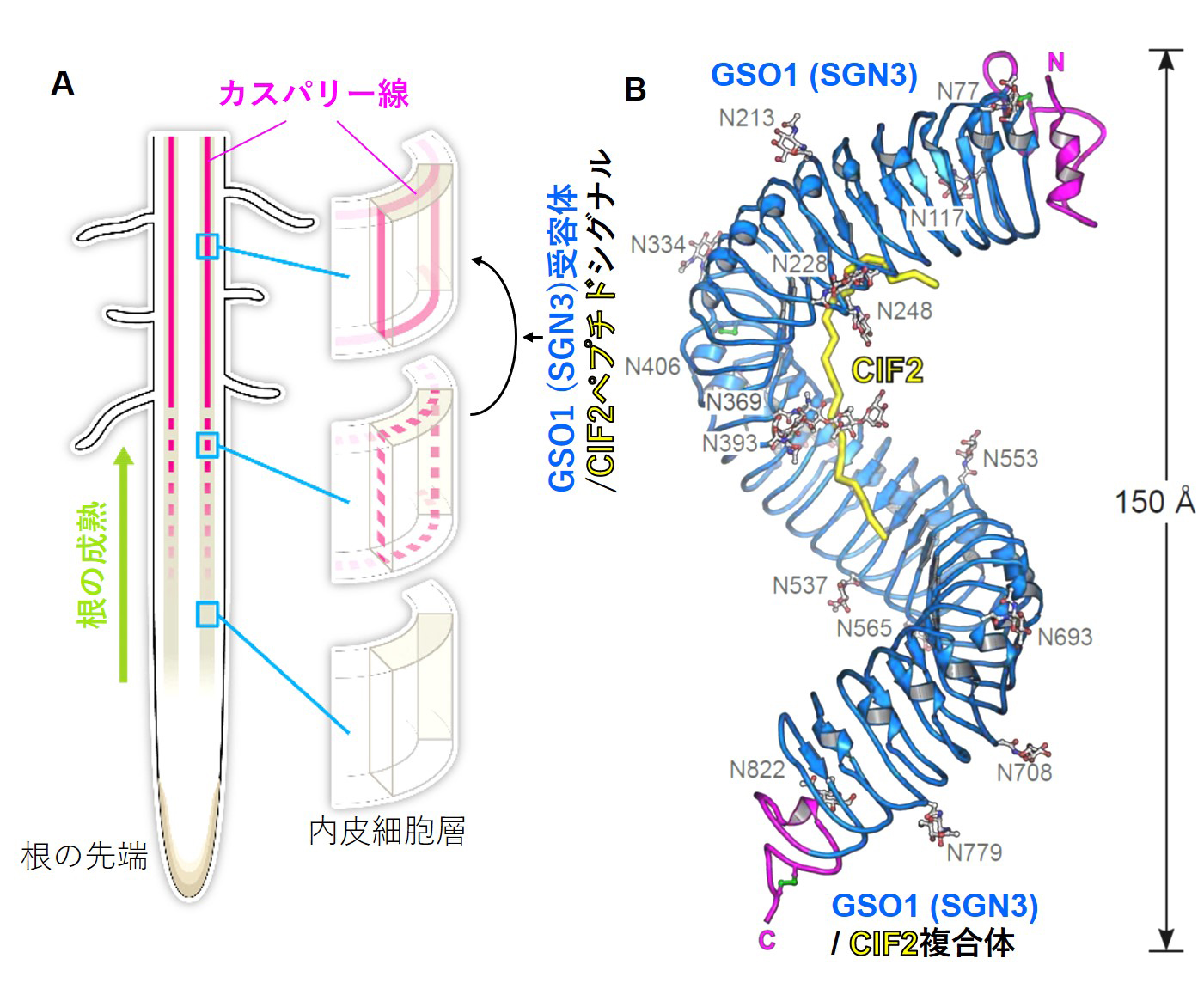 Figure1