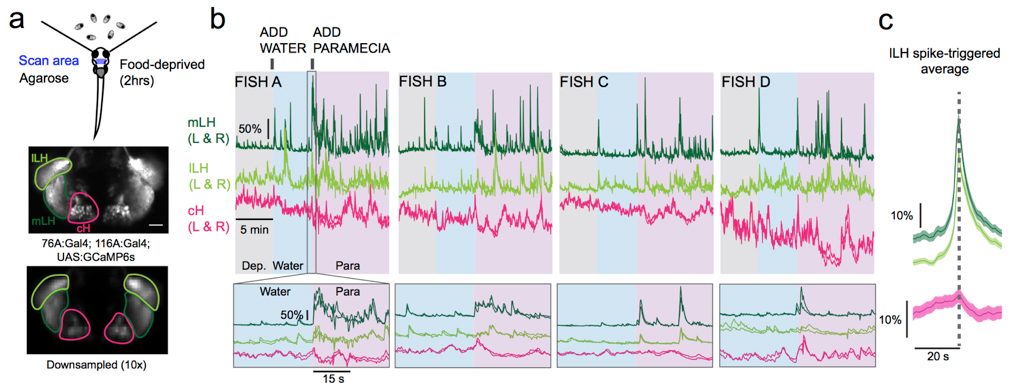 Figure1