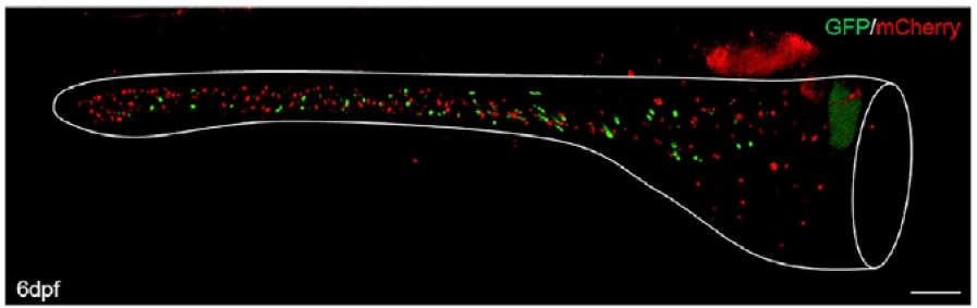 Figure1