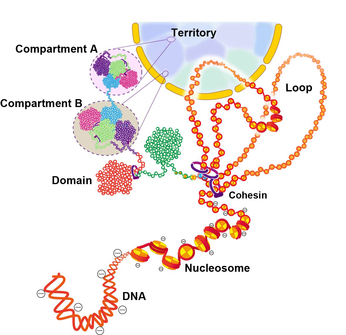 Figure1