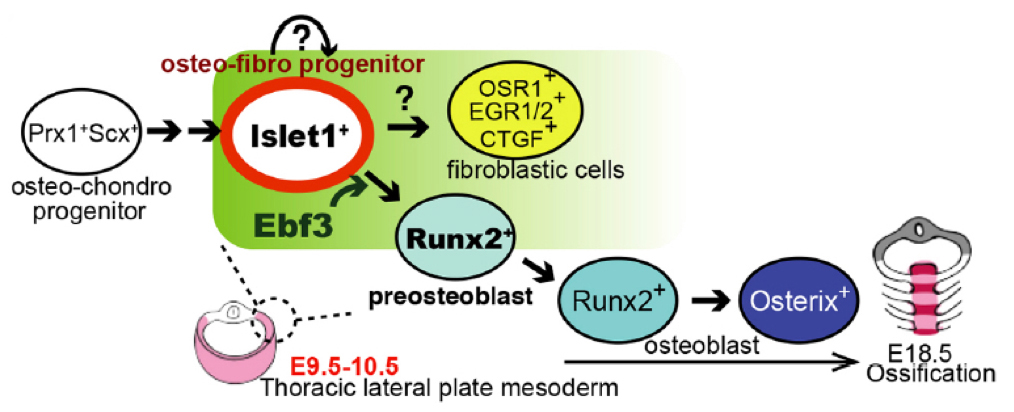 Figure1