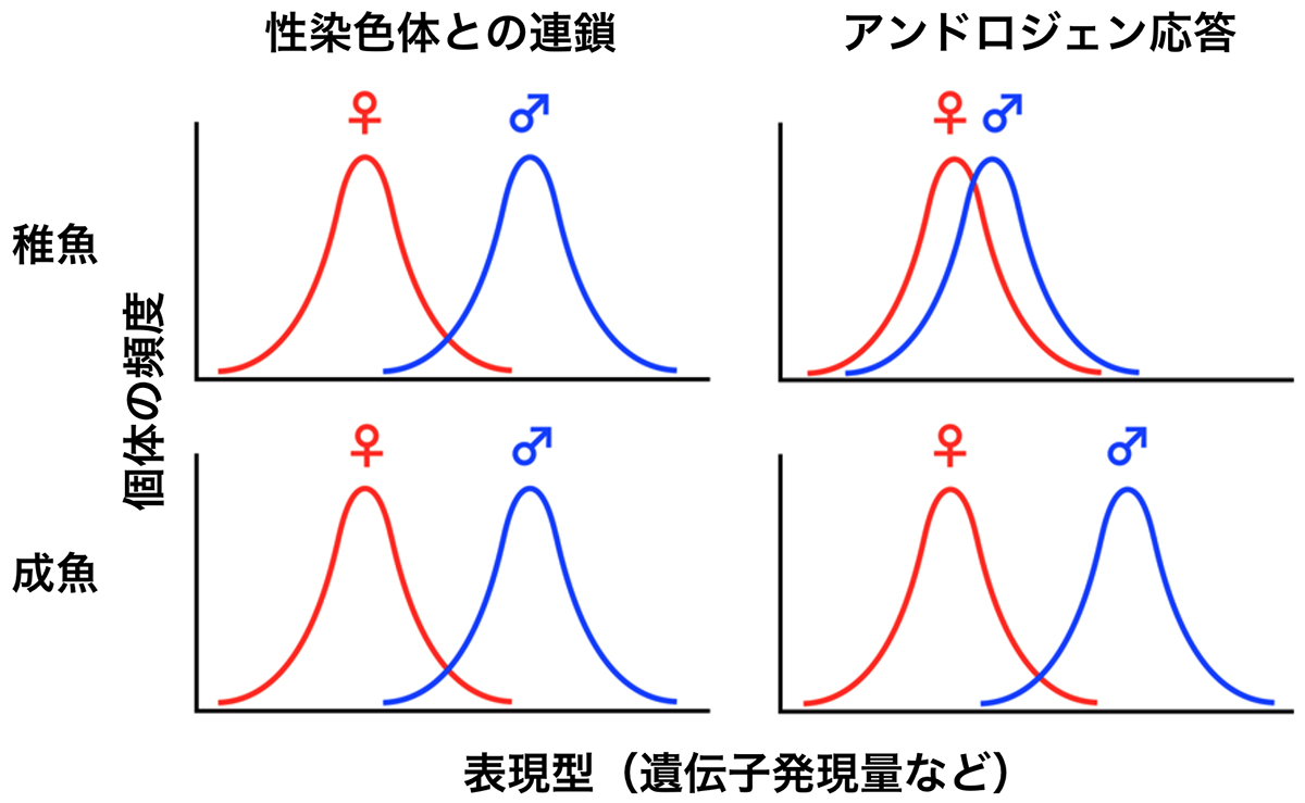 Figure1