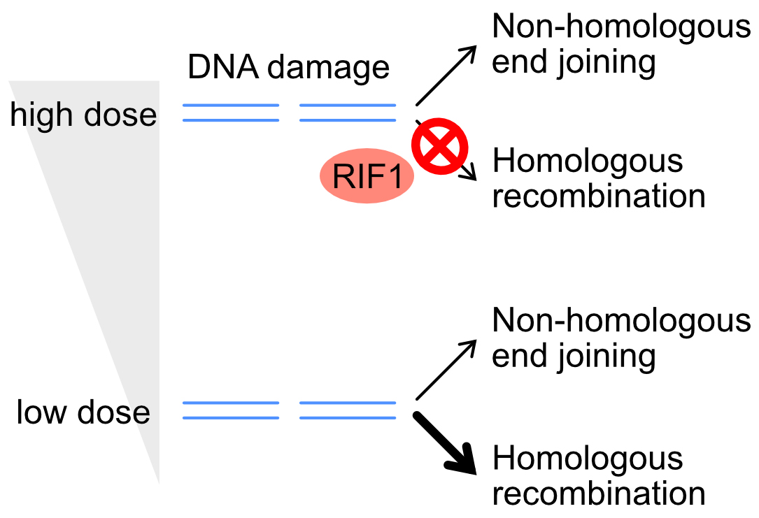 Figure1