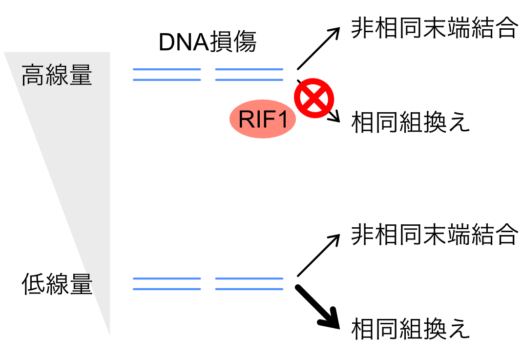 Figure1