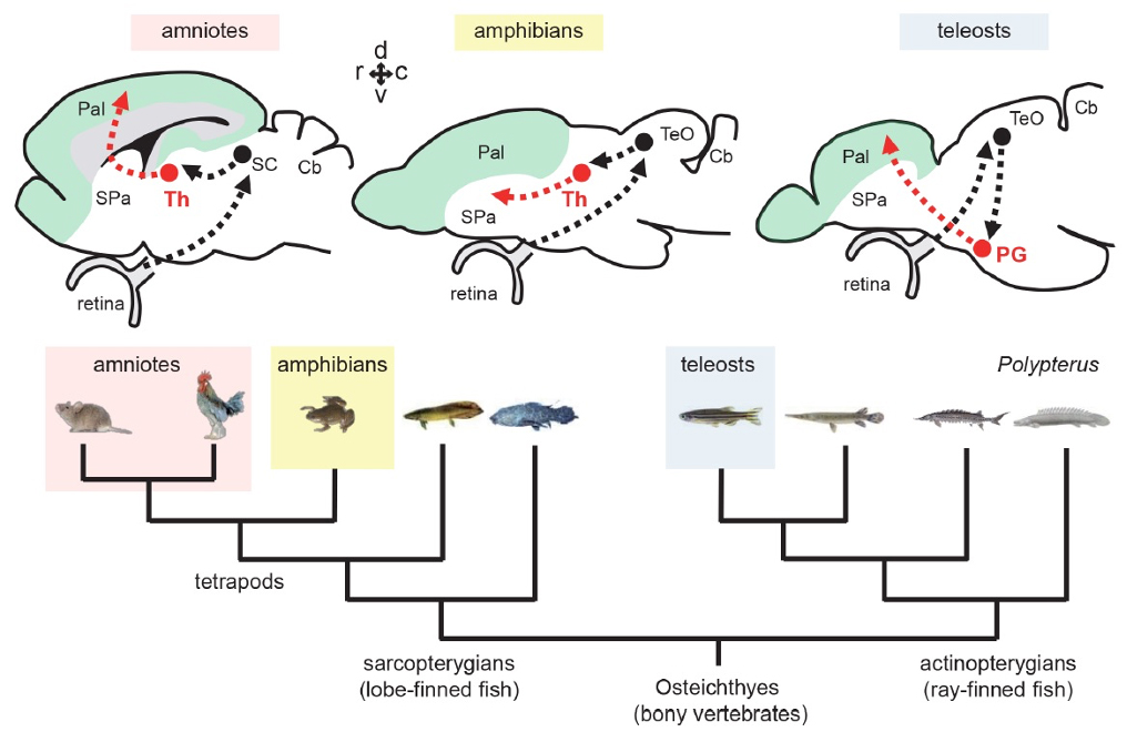 Figure1