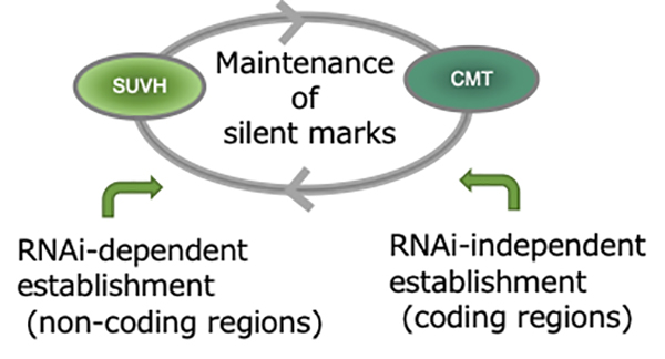 Figure1