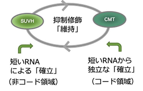 Figure1