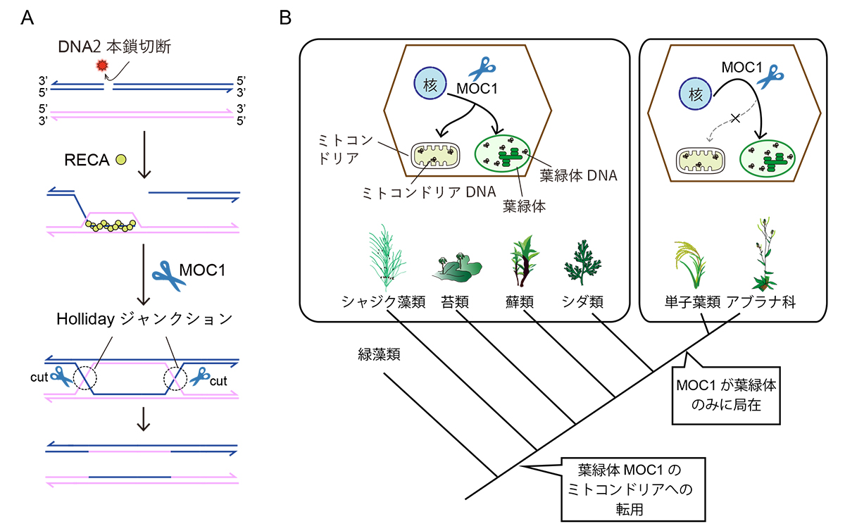 Figure1