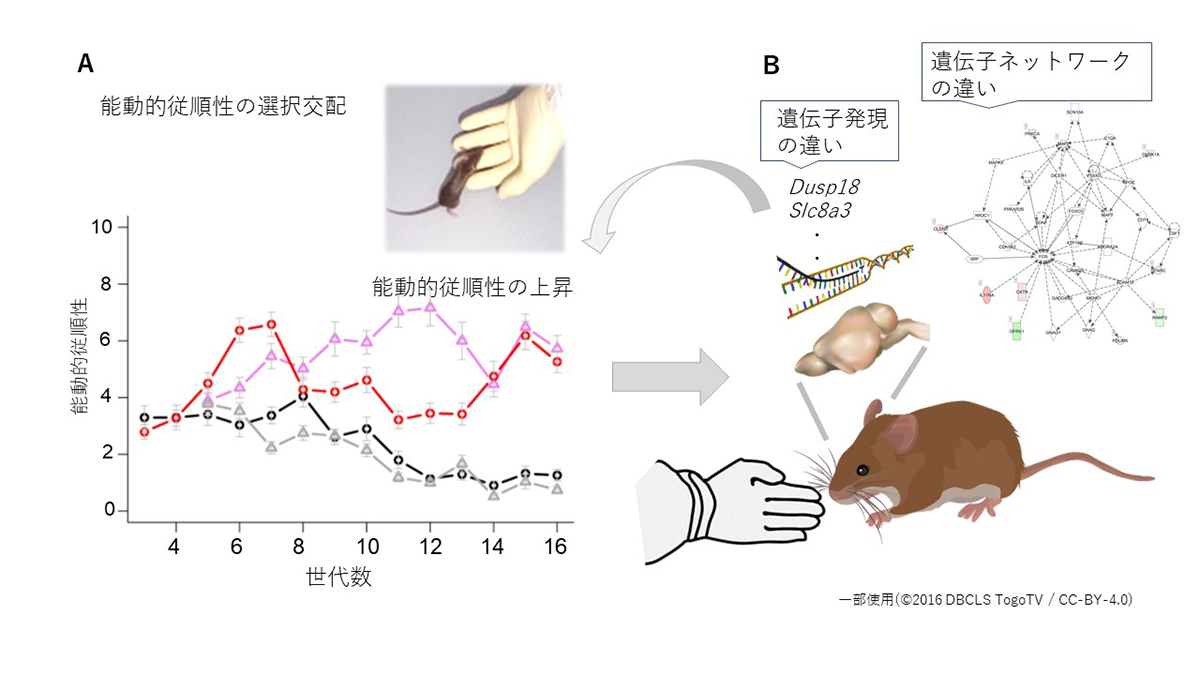 Figure1