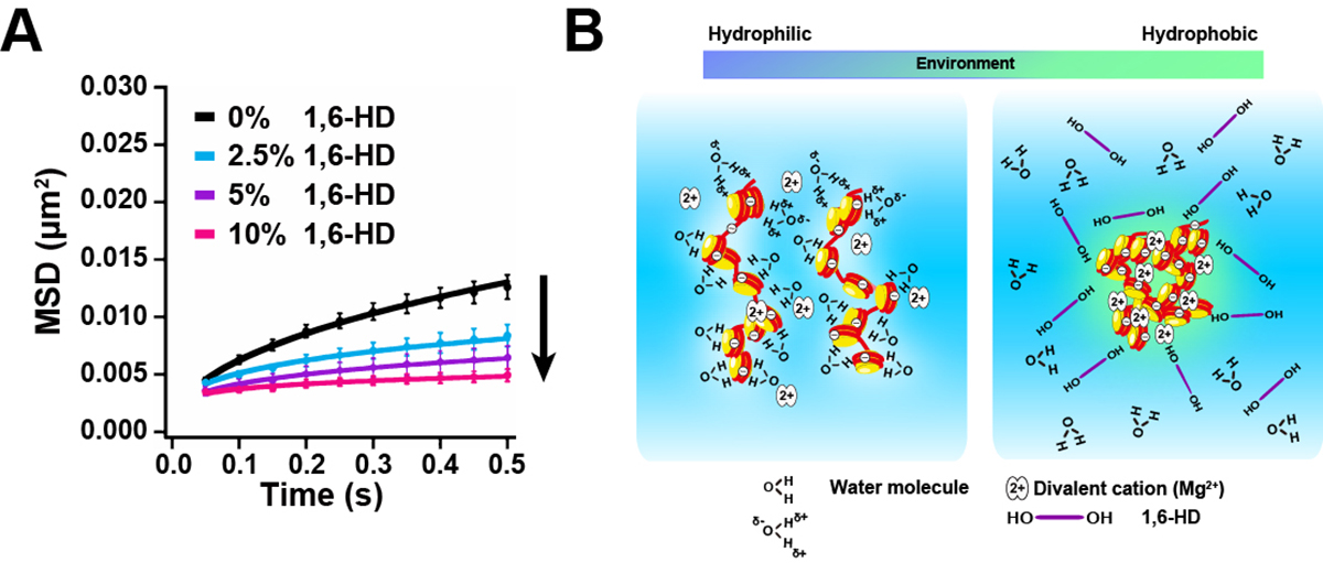 Figure1