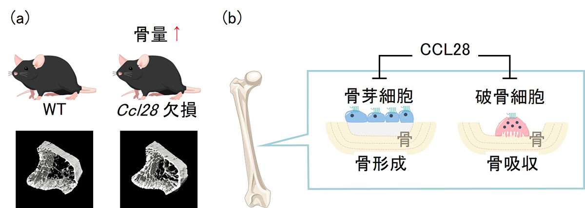 Figure1