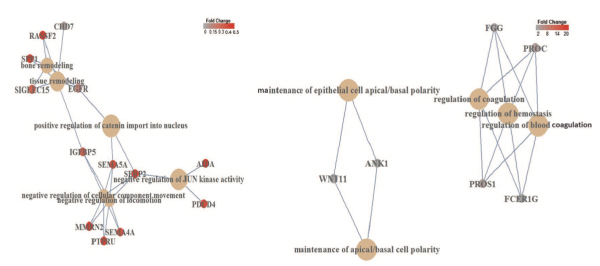 Figure1