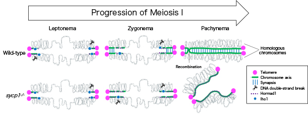 Figure1