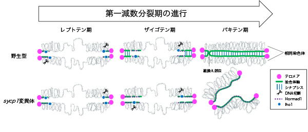 Figure1