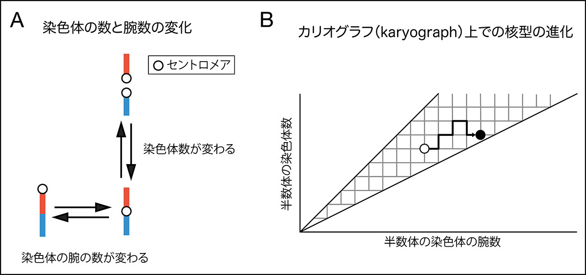 Figure1