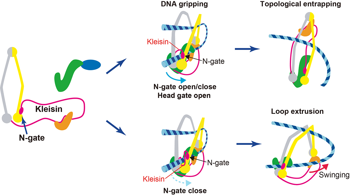 Figure1