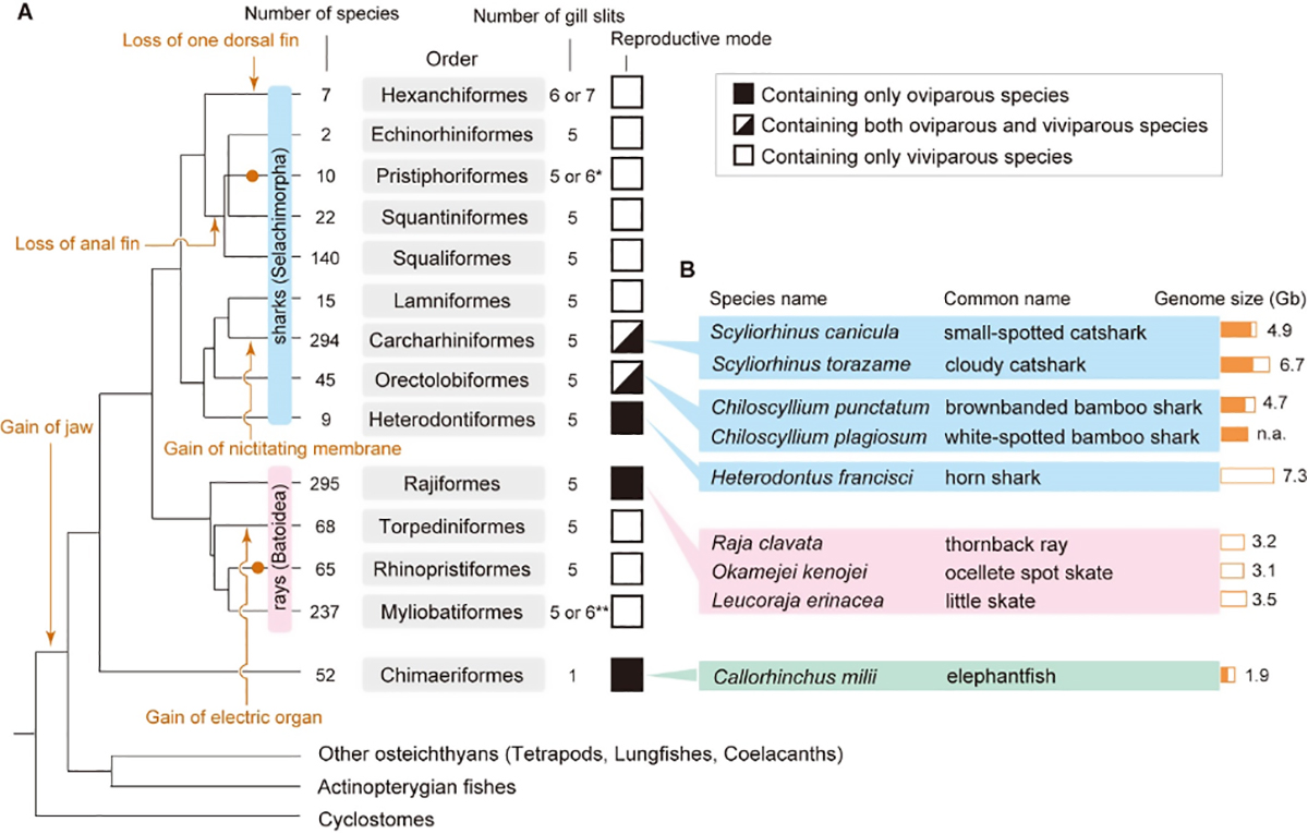 Figure1