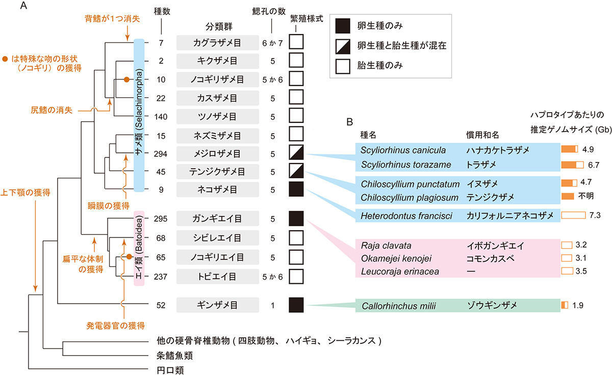 Figure1