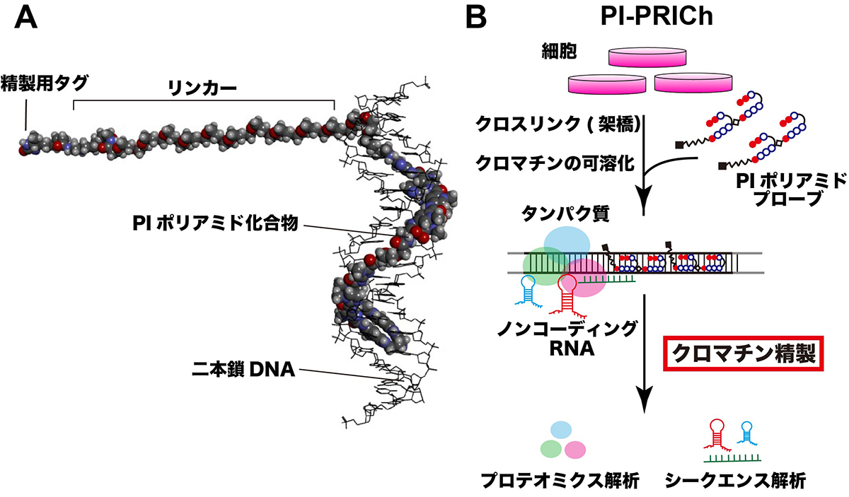 Figure1