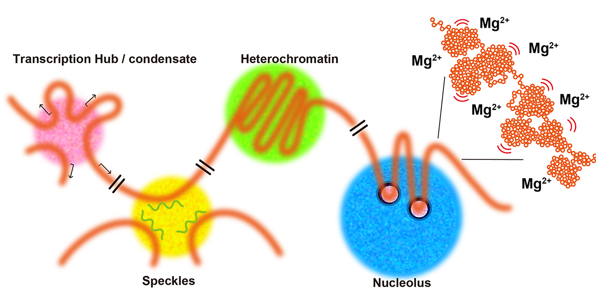 Figure1