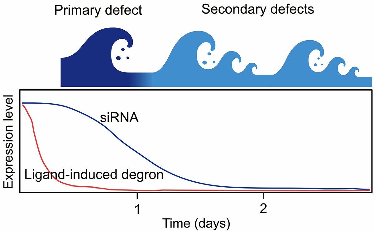 Figure1