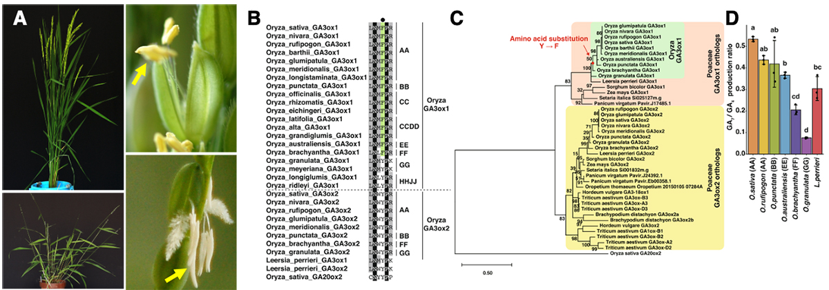 Figure1