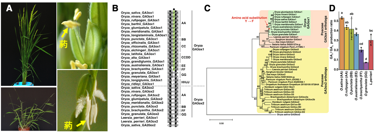 Figure1